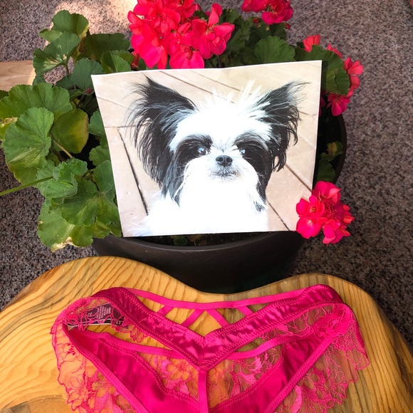 VS Very Sexy Lace Thong Size XSmall NWT Pink - Picture 2 of 11